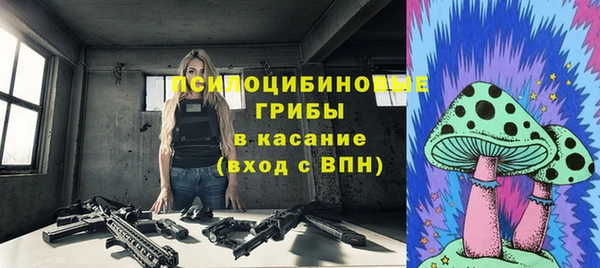 apvp Аркадак